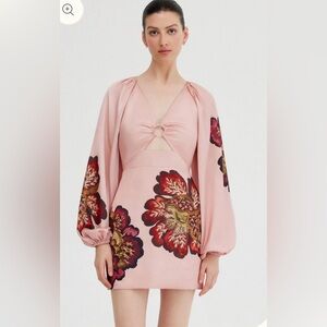 NWT Significant Other Roise Pink Floral Mini Dress - Size 10